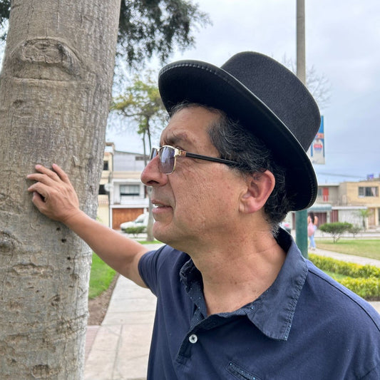 Sombrero de Copa negro de Lujo para adultos Pitt