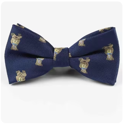 Corbata Elegante Michi Niño | Teddy Azul
