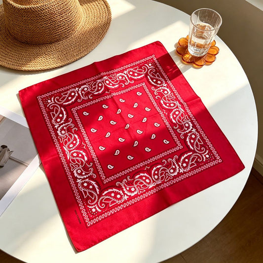 Pañoleta Bandana Pañuelo Clyde de 55x55cm