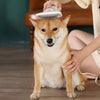 Groomer™ Cepillo Secador 2 en 1 Mascota Peine Perro Gato